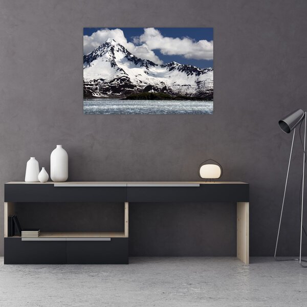 Obraz - Národný park Kenai Fjords (90x60 cm)