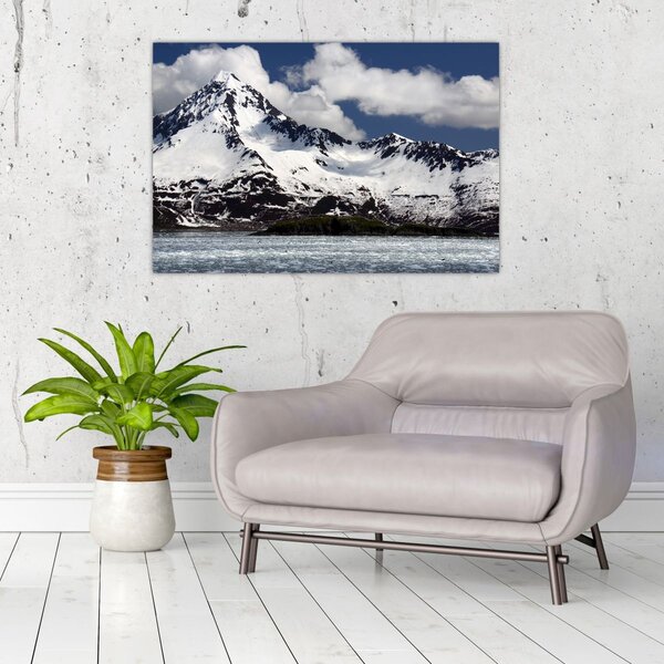 Obraz - Národný park Kenai Fjords (90x60 cm)
