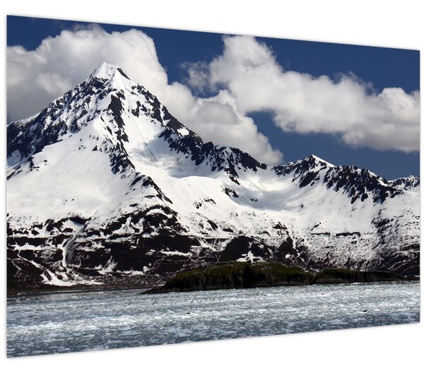 Obraz - Národný park Kenai Fjords (90x60 cm)