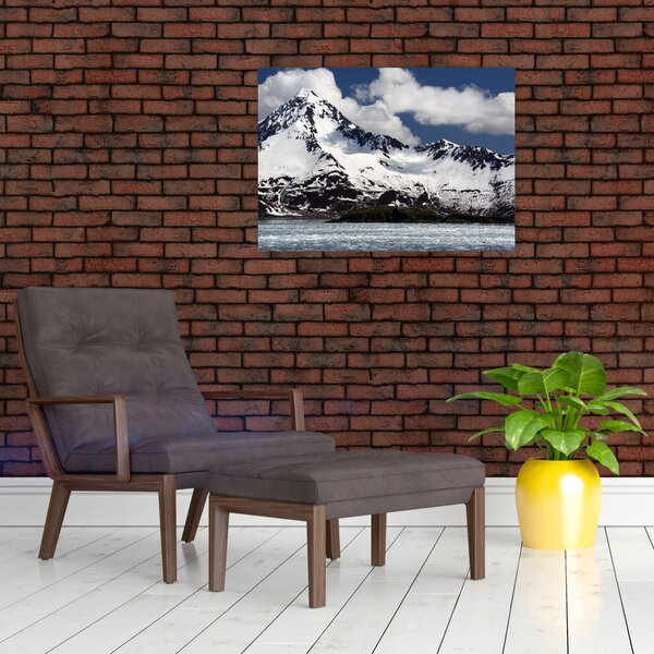 Obraz - Národný park Kenai Fjords (70x50 cm)