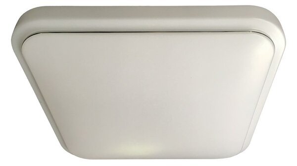 Stropné LED svietidlo Greg, 1x LED 13w, 4000k, w