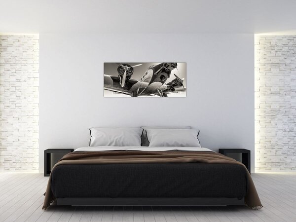 Obraz - Historické lietadlo (120x50 cm)