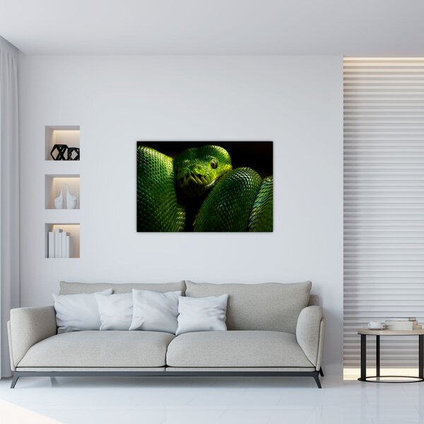 Obraz - Zelený had (90x60 cm)