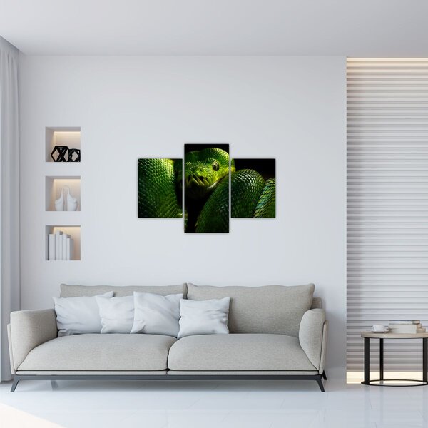 Obraz - Zelený had (90x60 cm)