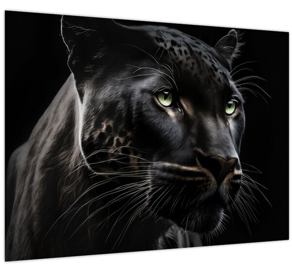 Obraz - Čierny panter (70x50 cm)