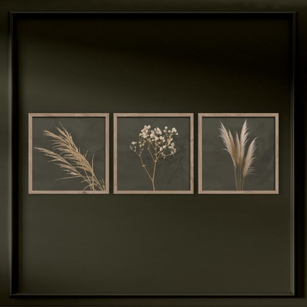 Obrazy v súprave 3 ks 30x30 cm Pampas – Styler