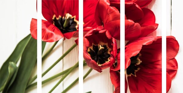 5-dielny obraz rozkvitnuté červené tulipány