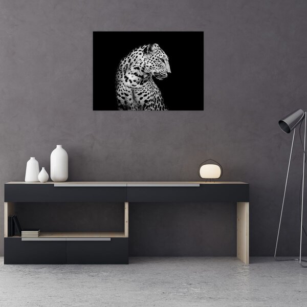 Obraz - Leopard (70x50 cm)