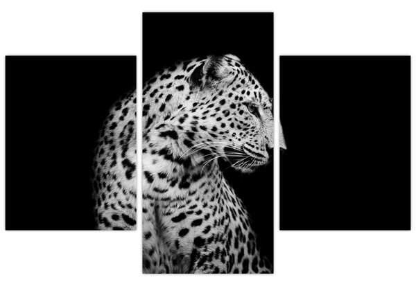 Obraz - Leopard (90x60 cm)