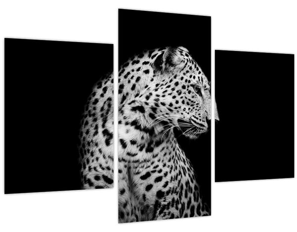 Obraz - Leopard (90x60 cm)