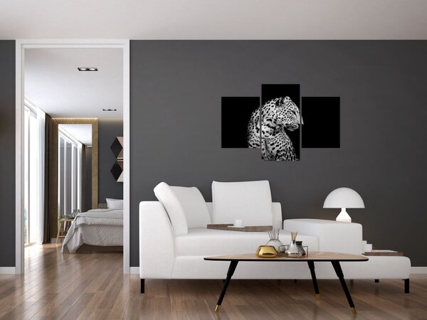 Obraz - Leopard (90x60 cm)
