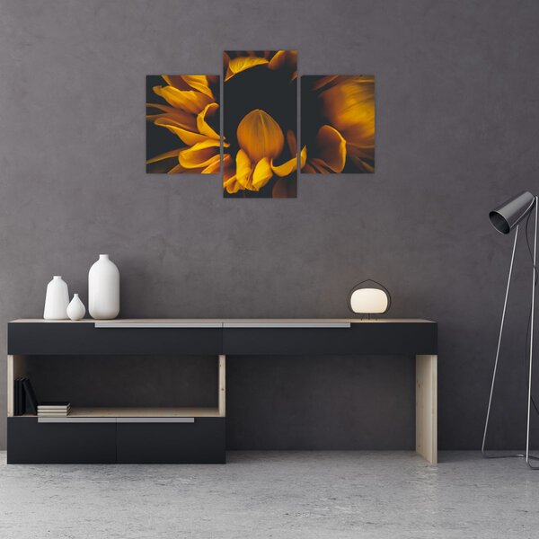 Obraz - Slnečnica v čiernom pozadí (90x60 cm)