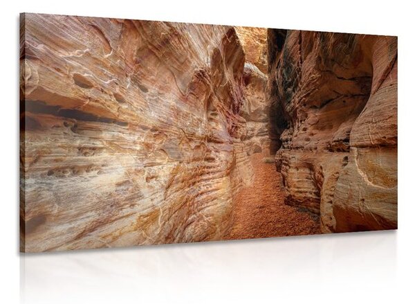 Obraz cestička Grand Canyonom