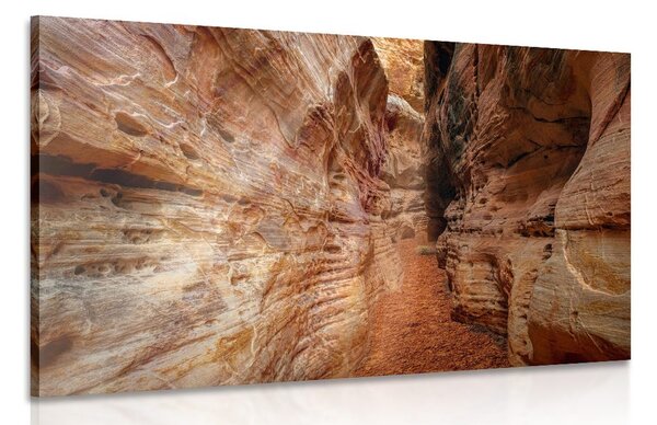 Obraz cestička Grand Canyonom