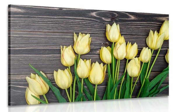 Obraz očarujúce žlté tulipány na drevenom podklade