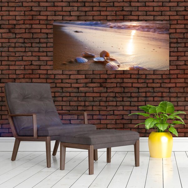 Obraz - Mušle (120x50 cm)