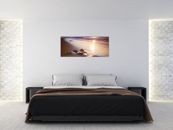 Obraz - Mušle (120x50 cm)