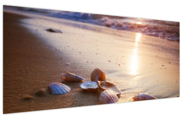 Obraz - Mušle (120x50 cm)