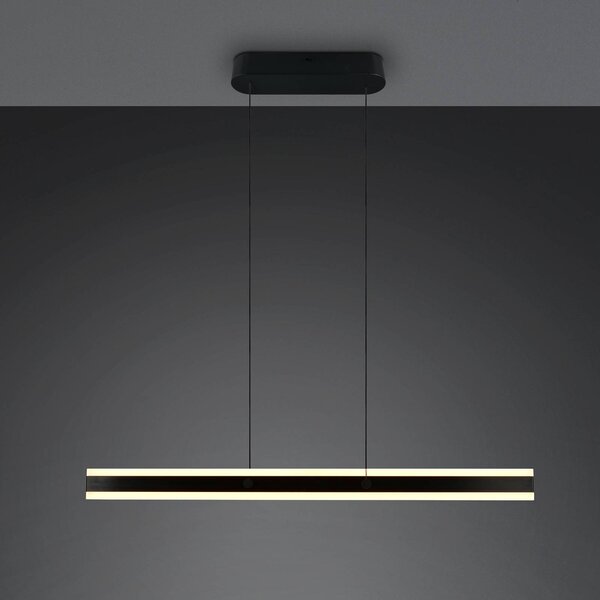 LED závesné svietidlo Arcola, čierna, dĺžka 115 cm, 2-pl., Čierna, Obývacia izba / jedáleň, kov, Moderný, Závesné svietidlo
