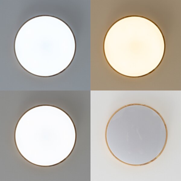 Brilagi - stmievateľné LED stropné svietidlo PINE LED/24W/230V + diaľkové ovládanie