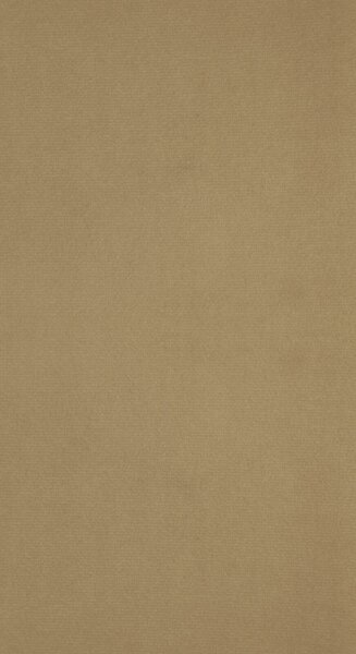 ZATEMŇOVACÍ ZÁVES NA KRÚŽKOCH ANTARA 140X270 CM TMAVOBÉŽOVÁ