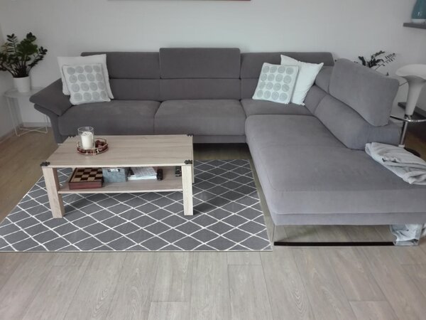 Hanse Home , Kusový koberec Twin-Wendeteppiche 103118 grau creme – na von aj na doma, 80x150, šedá, chodba / predsieň