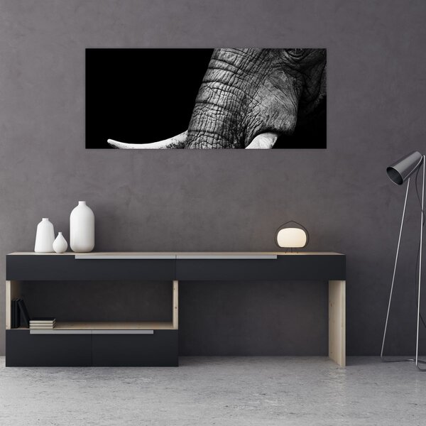 Obraz - Slonie kly (120x50 cm)