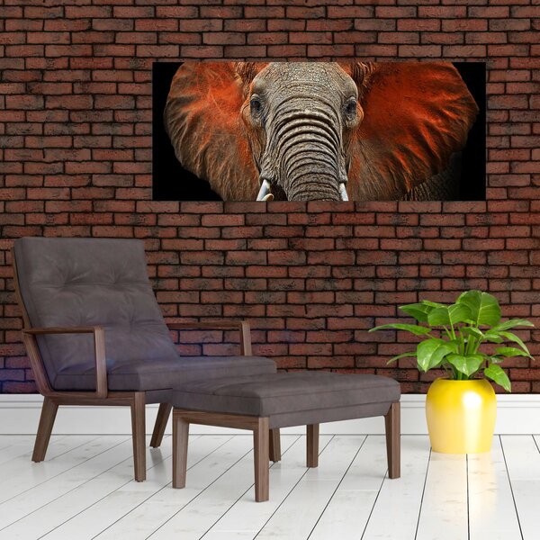 Obraz - Slony z Tsavo (120x50 cm)