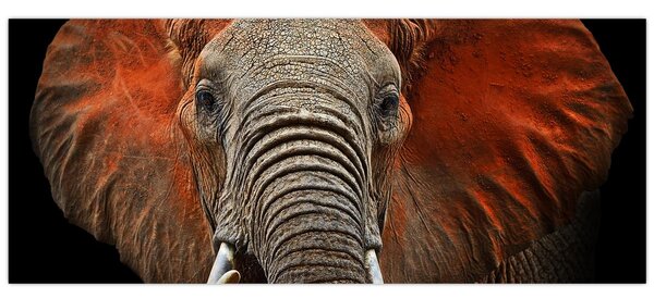 Obraz - Slony z Tsavo (120x50 cm)