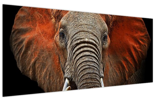 Obraz - Slony z Tsavo (120x50 cm)