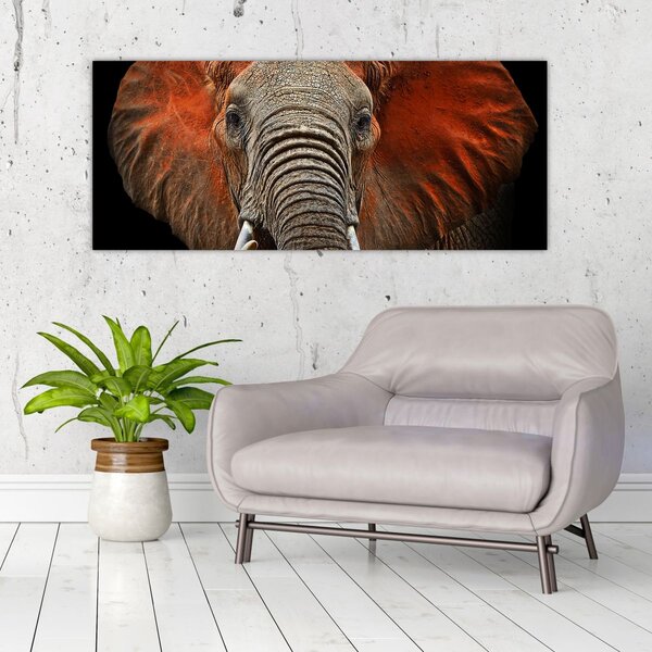 Obraz - Slony z Tsavo (120x50 cm)