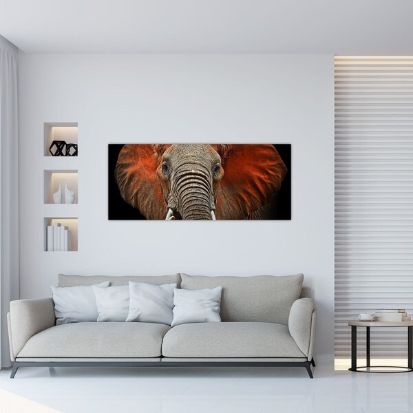Obraz - Slony z Tsavo (120x50 cm)