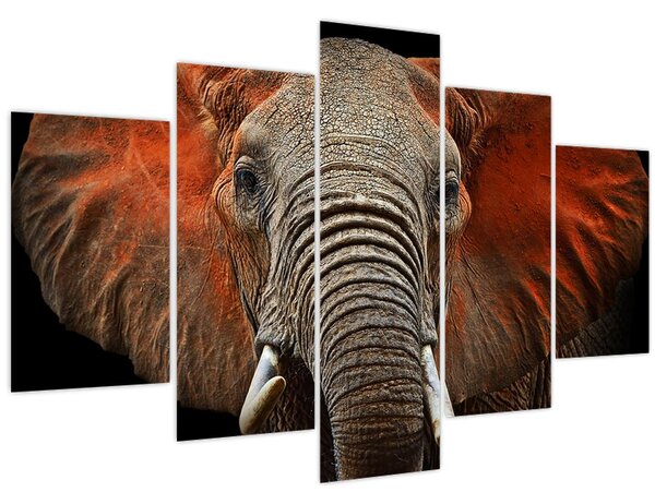 Obraz - Slony z Tsavo (150x105 cm)