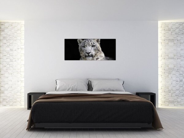 Obraz - Leopard snežný (120x50 cm)