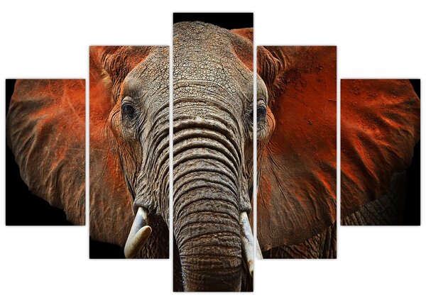 Obraz - Slony z Tsavo (150x105 cm)