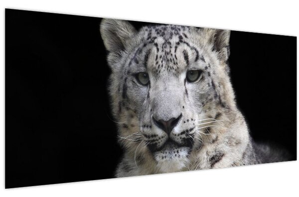 Obraz - Leopard snežný (120x50 cm)