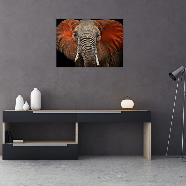 Obraz - Slony z Tsavo (70x50 cm)
