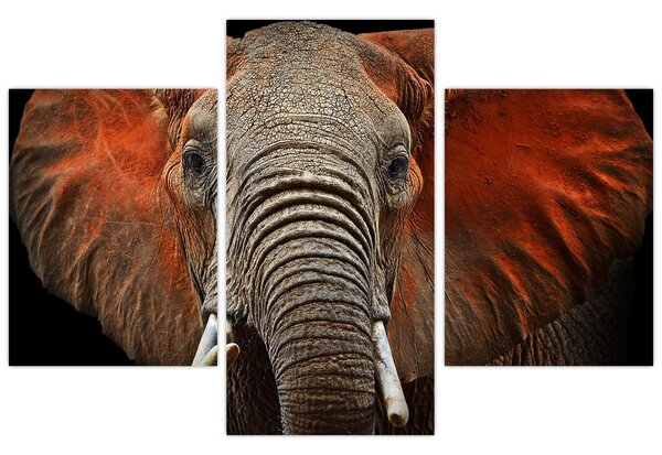 Obraz - Slony z Tsavo (90x60 cm)