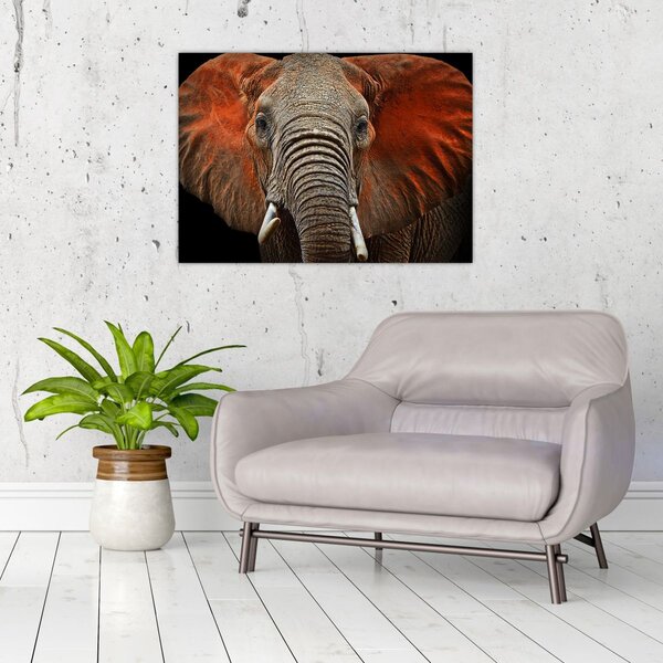 Obraz - Slony z Tsavo (70x50 cm)