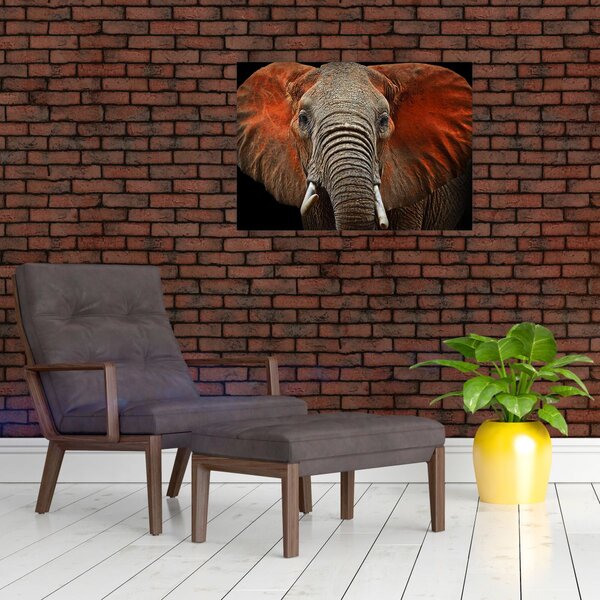 Obraz - Slony z Tsavo (70x50 cm)