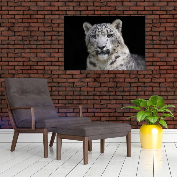 Obraz - Leopard snežný (90x60 cm)