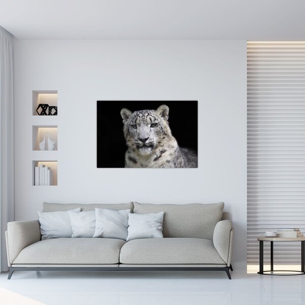 Obraz - Leopard snežný (90x60 cm)