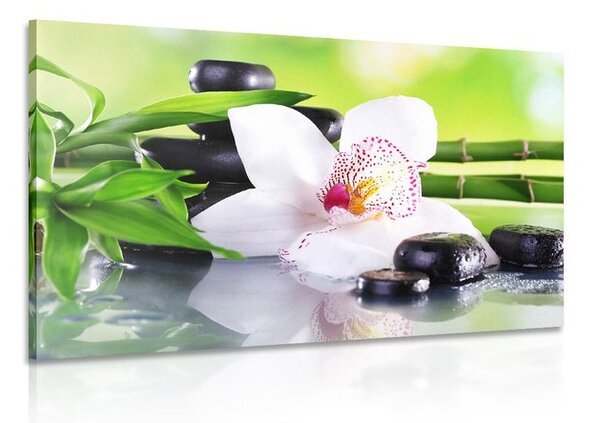 Obraz japonská orchidea