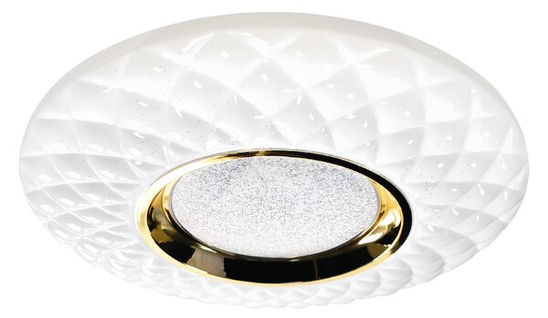 Stropné LED svietidlo Tokyo, 1x LED 24w, 3000-6000k, w/g, s ovládačom