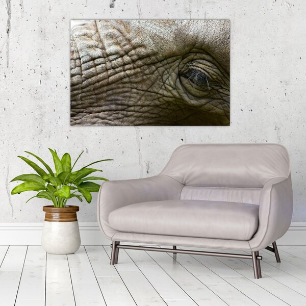 Obraz - Detailné fotografie starého slonieho oka (90x60 cm)