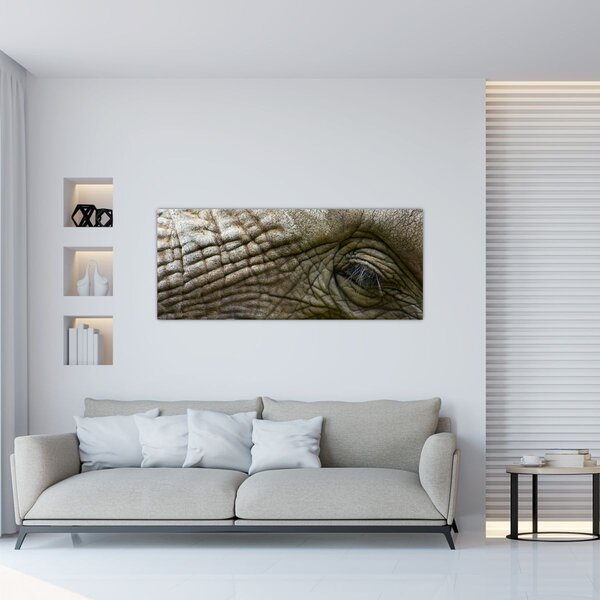 Obraz - Detailné fotografie starého slonieho oka (120x50 cm)