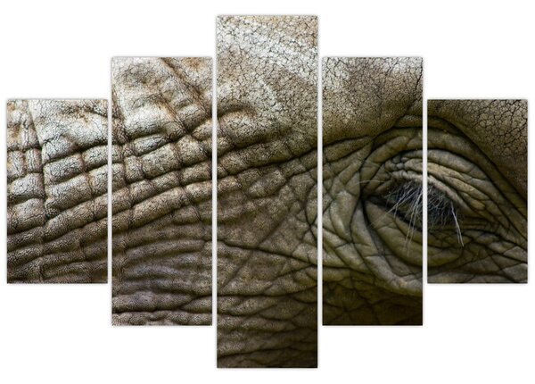 Obraz - Detailné fotografie starého slonieho oka (150x105 cm)