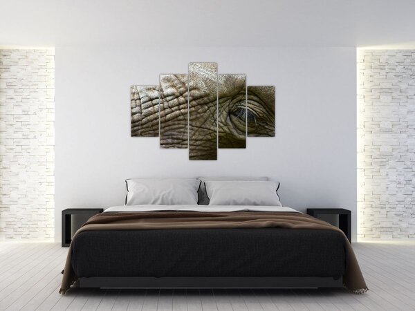 Obraz - Detailné fotografie starého slonieho oka (150x105 cm)