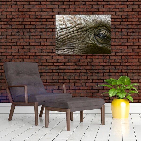 Obraz - Detailné fotografie starého slonieho oka (70x50 cm)