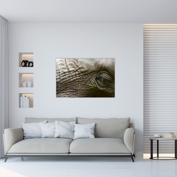 Obraz - Detailné fotografie starého slonieho oka (90x60 cm)